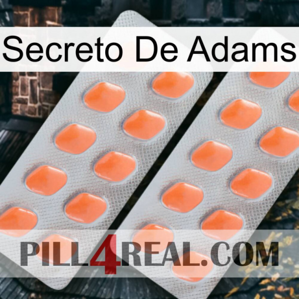 Adams Secret 27.jpg